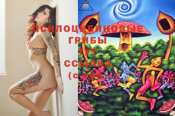 mdpv Абаза